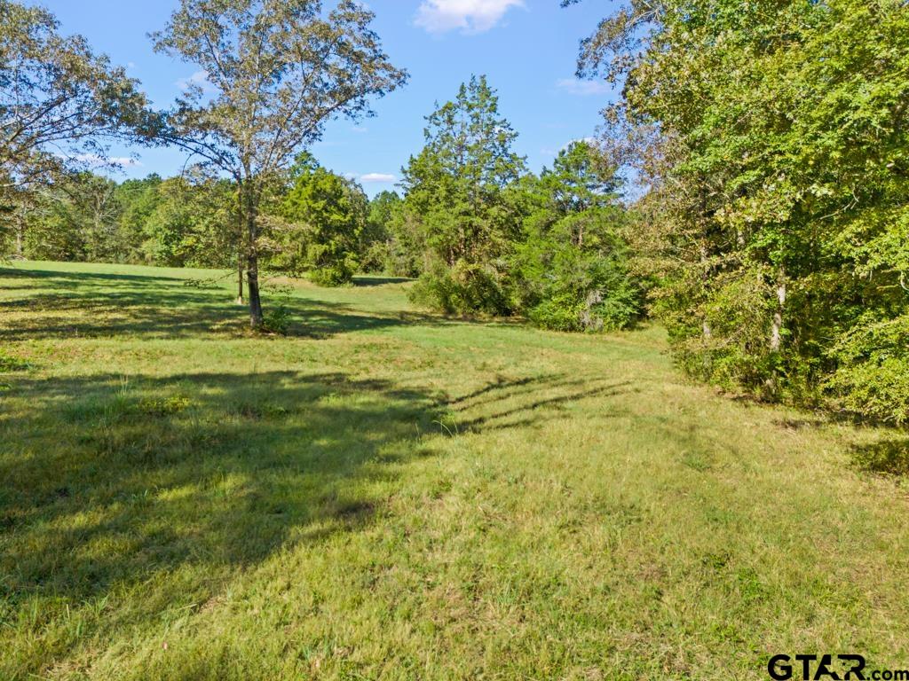 3400 Pony Road Gilmer, TX 75644 - Photo 37 of 46 a view of a yard with a tree