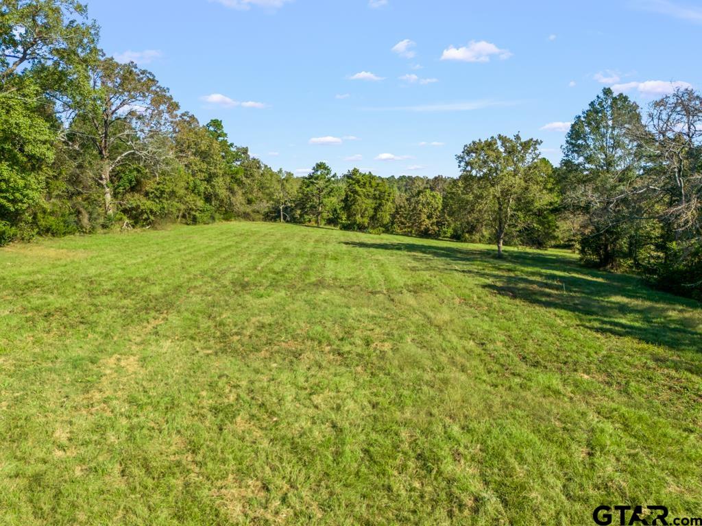 3400 Pony Road Gilmer, TX 75644 - Photo 39 of 46