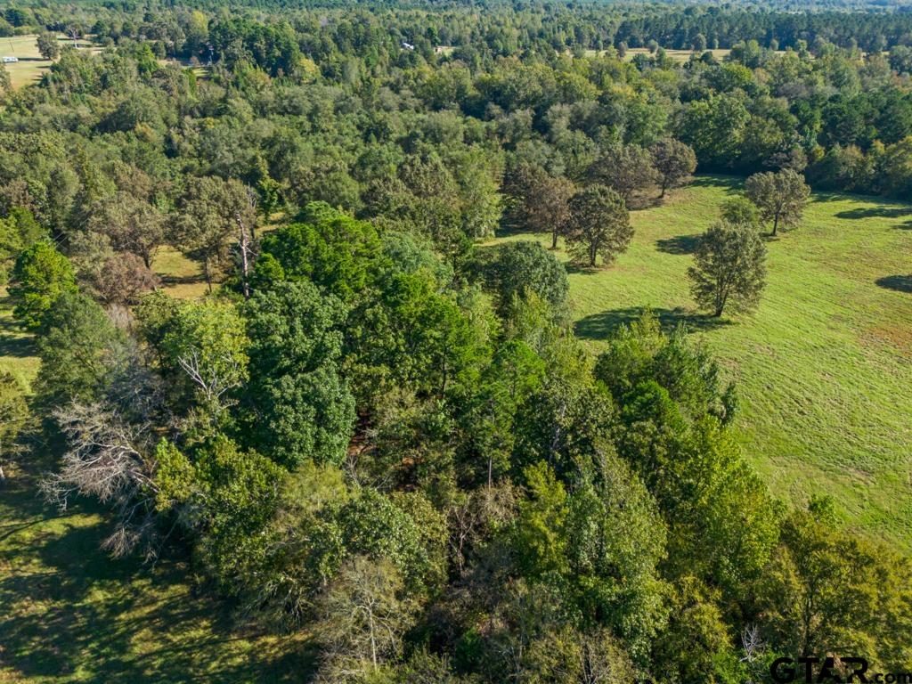 3400 Pony Road Gilmer, TX 75644 - Photo 40 of 46 a view of a lake with a yard
