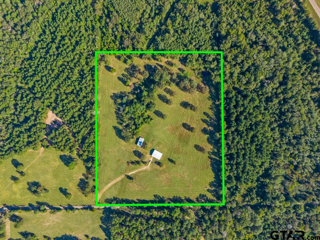 3400 Pony Road Gilmer, TX 75644 - Photo 43 of 46 a view of a plant in a garden