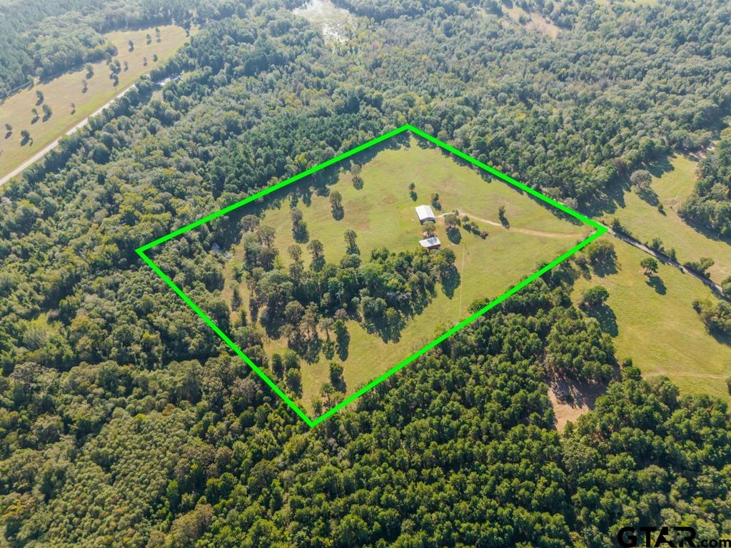 3400 Pony Road Gilmer, TX 75644 - Photo 45 of 46 a view of a garden with plants