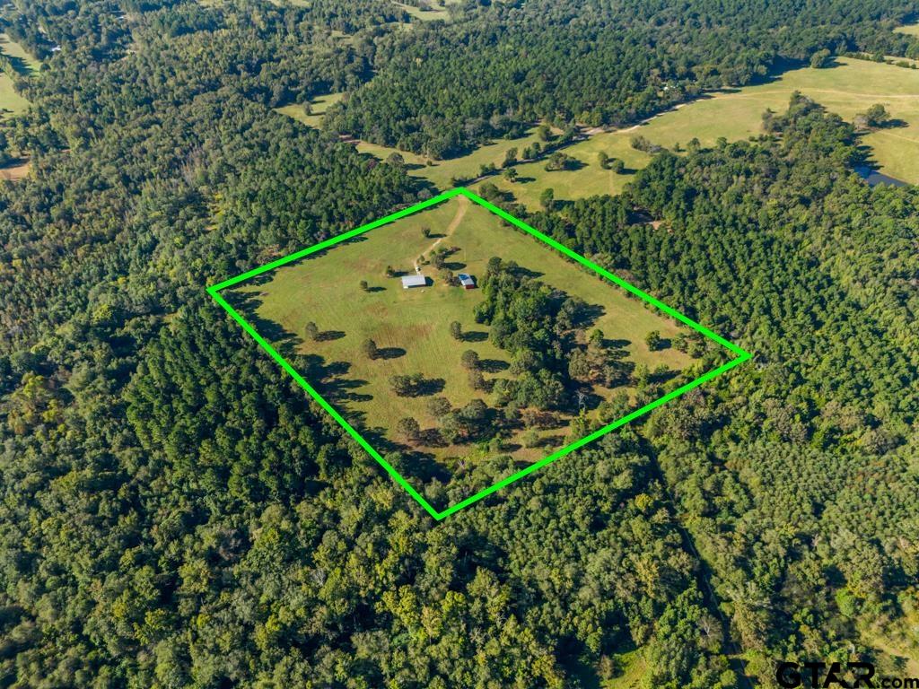 3400 Pony Road Gilmer, TX 75644 - Photo 46 of 46 a view of a garden in a backyard