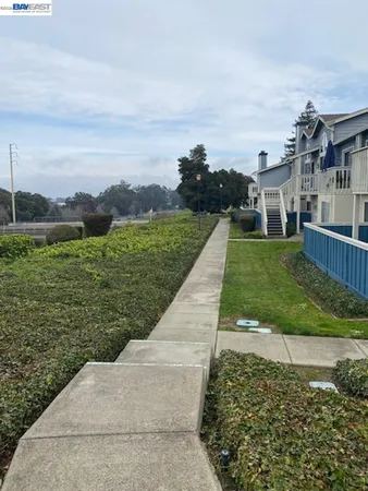 a view of a backyard with plants and a garden