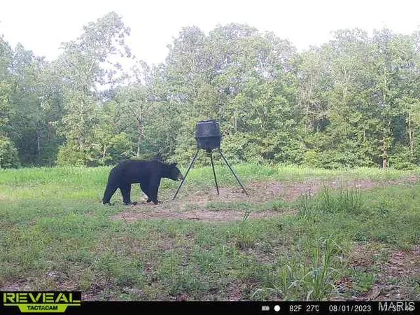 $199,000 | 0 Highway Bb Licking Mo 65542, Licking, MO 65542