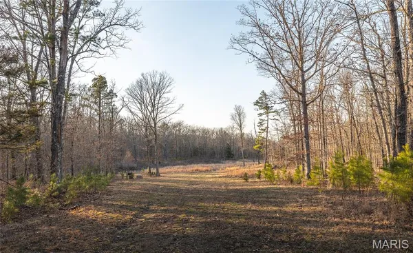 $199,000 | 0 Highway Bb Licking Mo 65542, Licking, MO 65542
