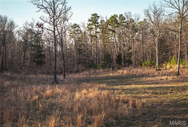 $199,000 | 0 Highway Bb Licking Mo 65542, Licking, MO 65542