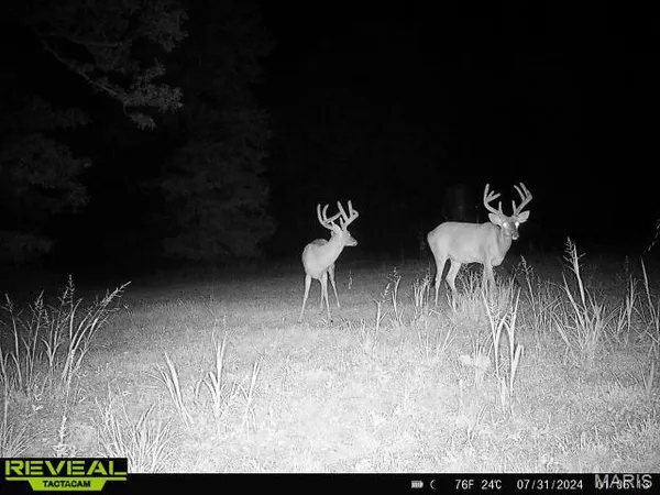 $199,000 | 0 Highway Bb Licking Mo 65542, Licking, MO 65542