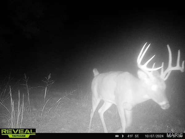 $199,000 | 0 Highway Bb Licking Mo 65542, Licking, MO 65542
