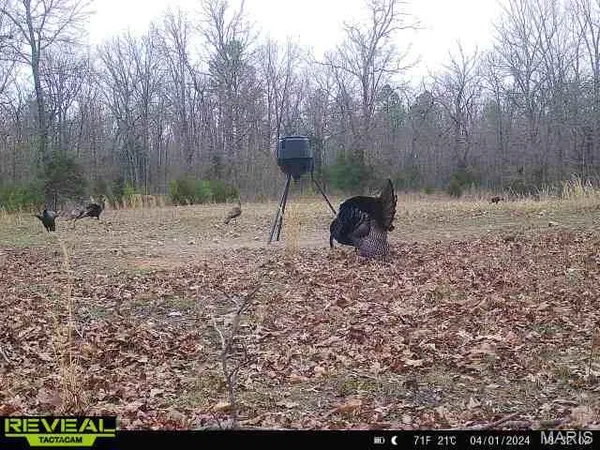 $199,000 | 0 Highway Bb Licking Mo 65542, Licking, MO 65542