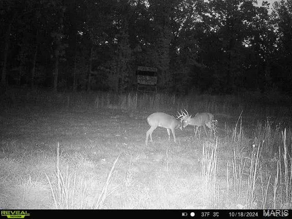 $199,000 | 0 Highway Bb Licking Mo 65542, Licking, MO 65542