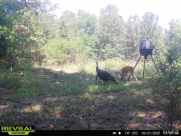 $199,000 | 0 Highway Bb Licking Mo 65542, Licking, MO 65542