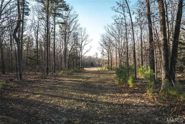 $199,000 | 0 Highway Bb Licking Mo 65542, Licking, MO 65542