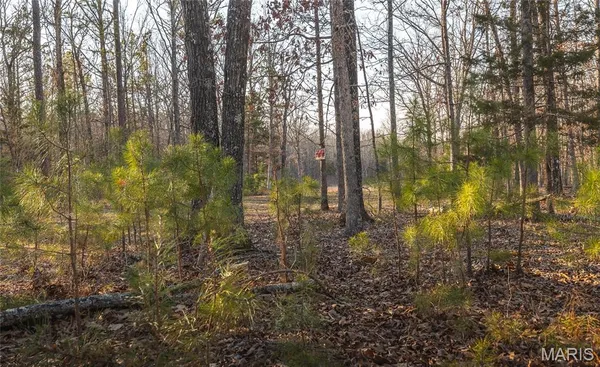 $199,000 | 0 Highway Bb Licking Mo 65542, Licking, MO 65542