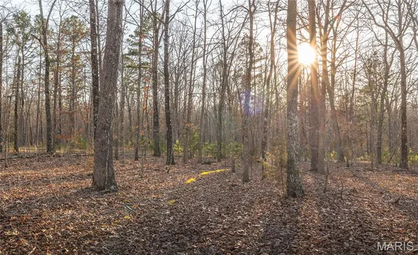 $199,000 | 0 Highway Bb Licking Mo 65542, Licking, MO 65542