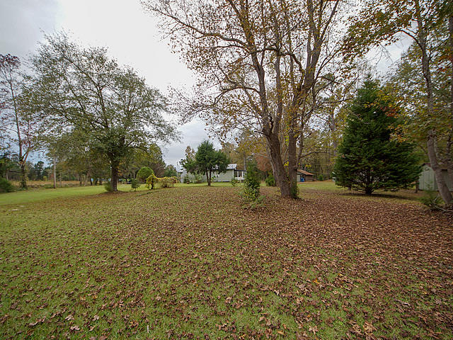 3594 Santee River Road St. Stephen, SC 29479 - Photo 23 of 27 44