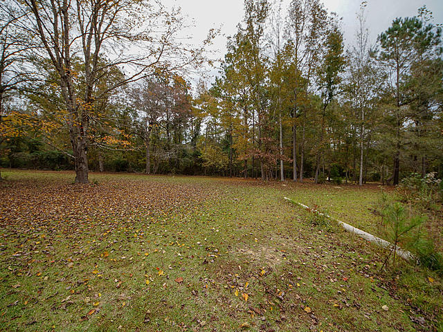 3594 Santee River Road St. Stephen, SC 29479 - Photo 24 of 27 46