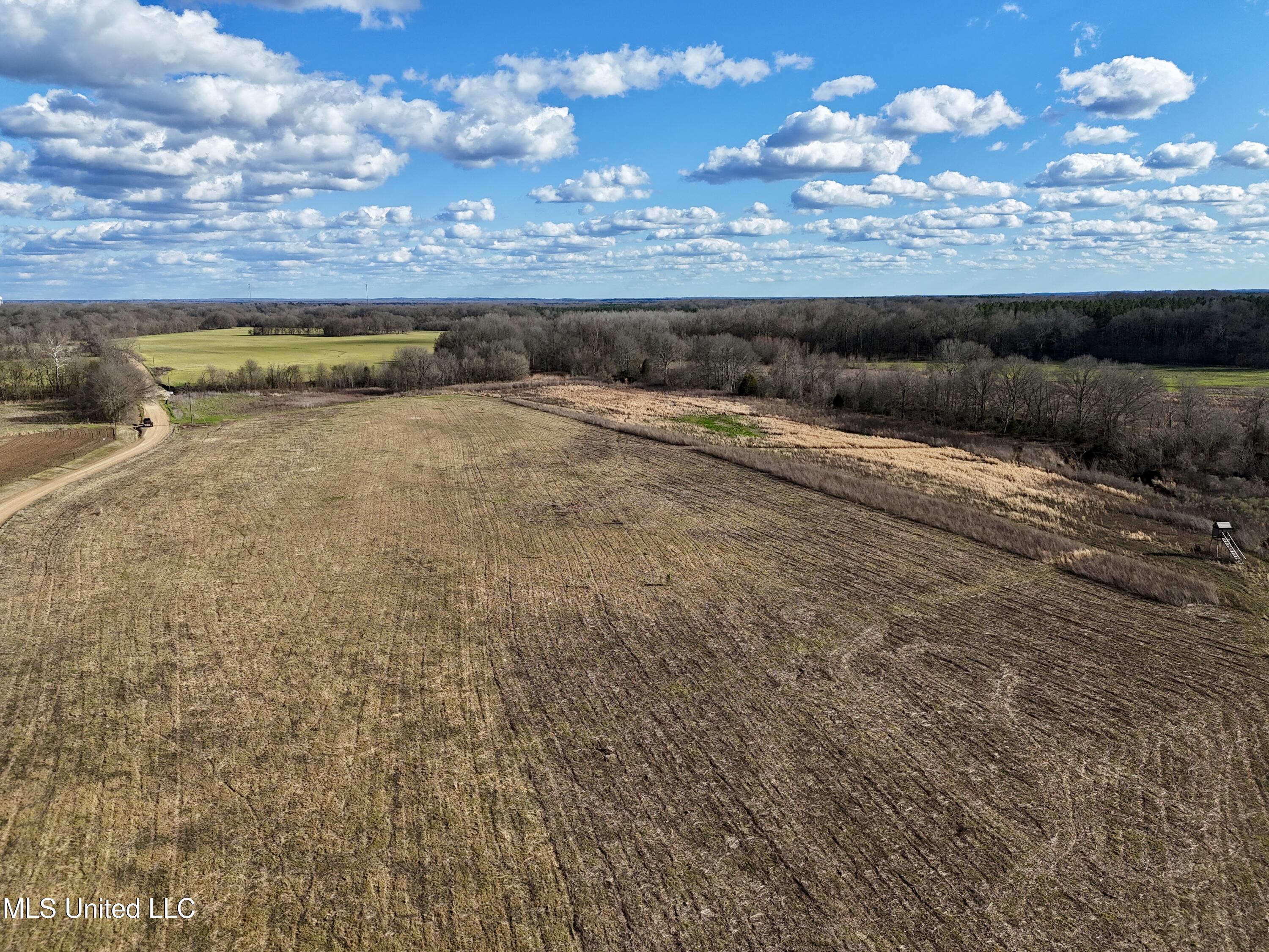 10 Terrell Road Bentonia, MS 39040 - Photo 20 of 26 B6ACD82F-522B-4FE5-9E1B-E81B29F4B1D3