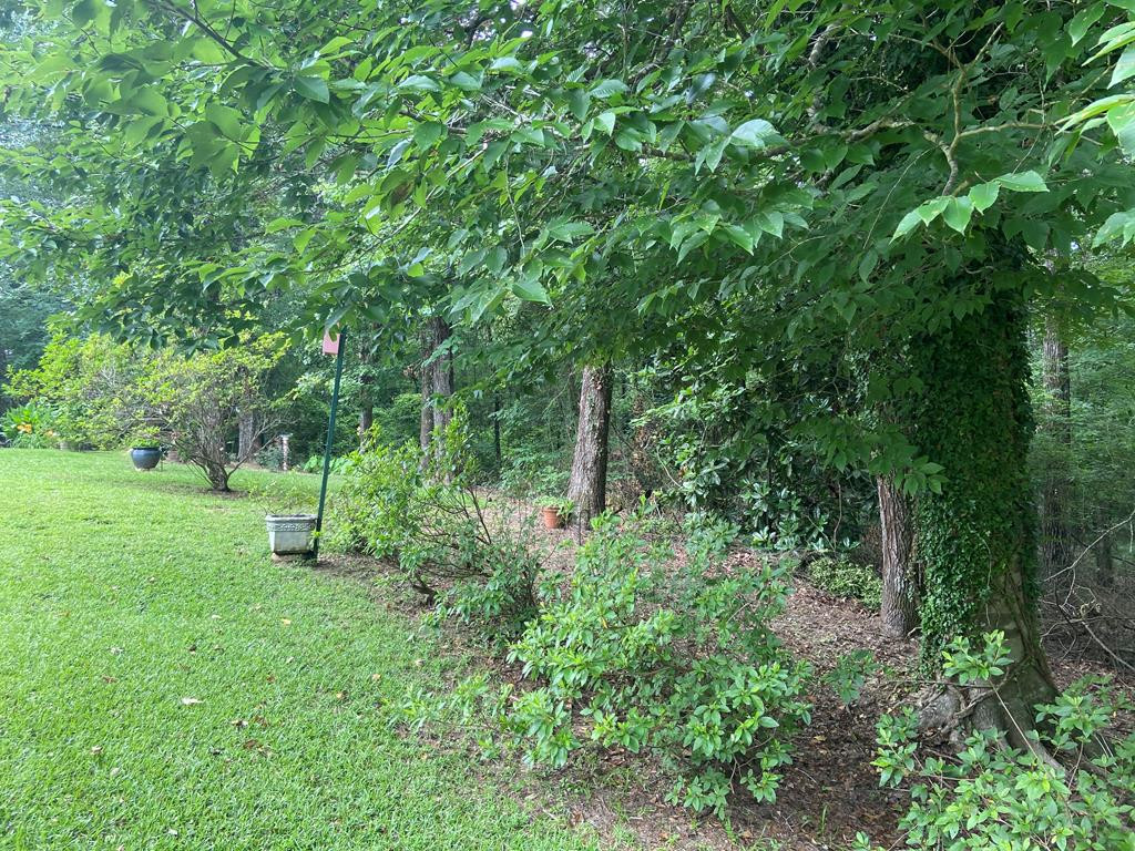 2141 Zetus Road Northwest Brookhaven, MS 39601 - Photo 15 of 41 Photo 15