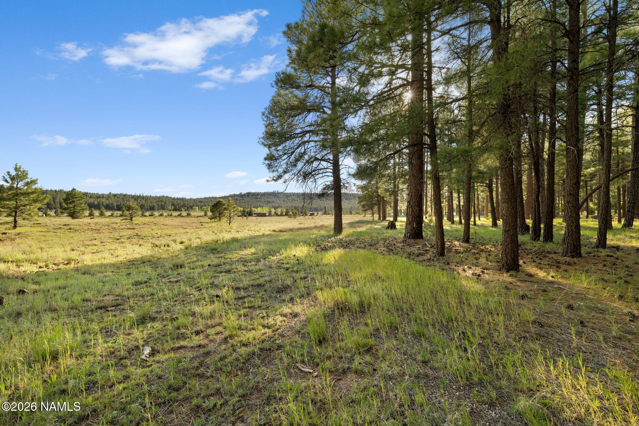 197 East Foxboro Road, Unit 7 Munds Park, AZ 86017 - Photo 34 of 66 Lot 7 Foxboro Ranch Estates