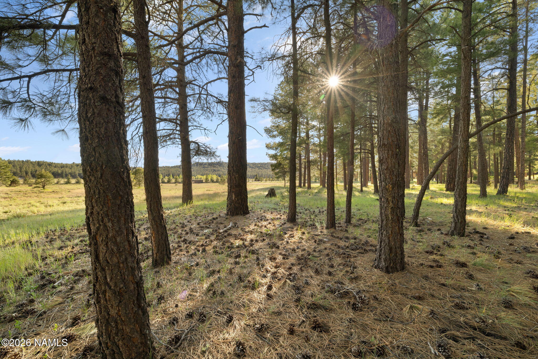 197 East Foxboro Road, Unit 7 Munds Park, AZ 86017 - Photo 35 of 66 Lot 7 Foxboro Ranch Estates