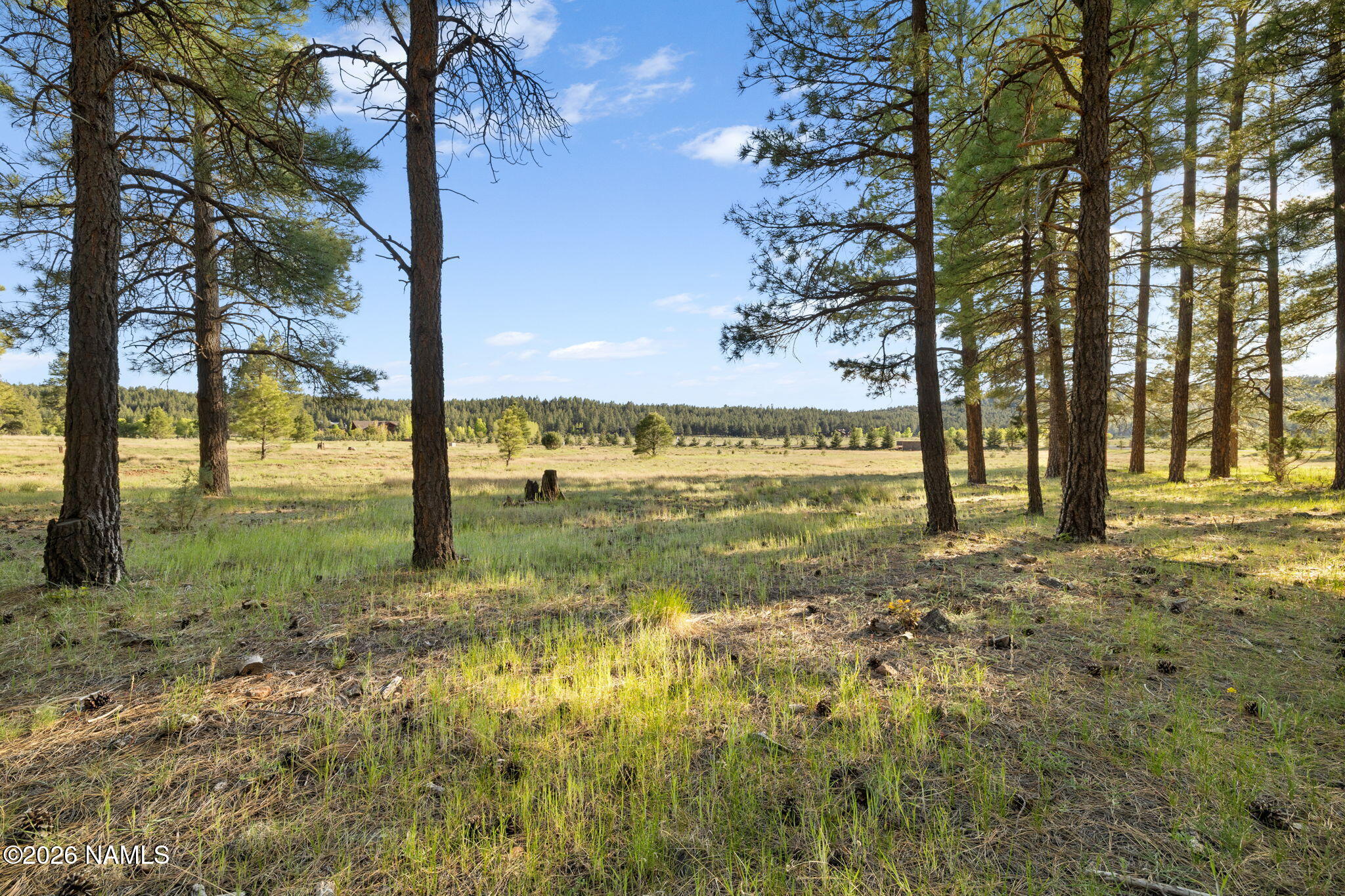 197 East Foxboro Road, Unit 7 Munds Park, AZ 86017 - Photo 36 of 66 Lot 7 Foxboro Ranch Estates