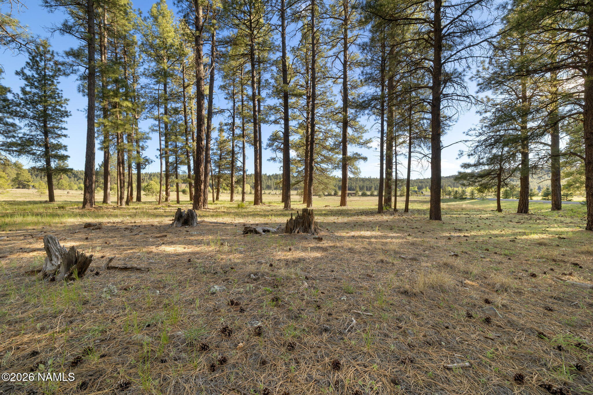 197 East Foxboro Road, Unit 7 Munds Park, AZ 86017 - Photo 37 of 66 Lot 7 Foxboro Ranch Estates
