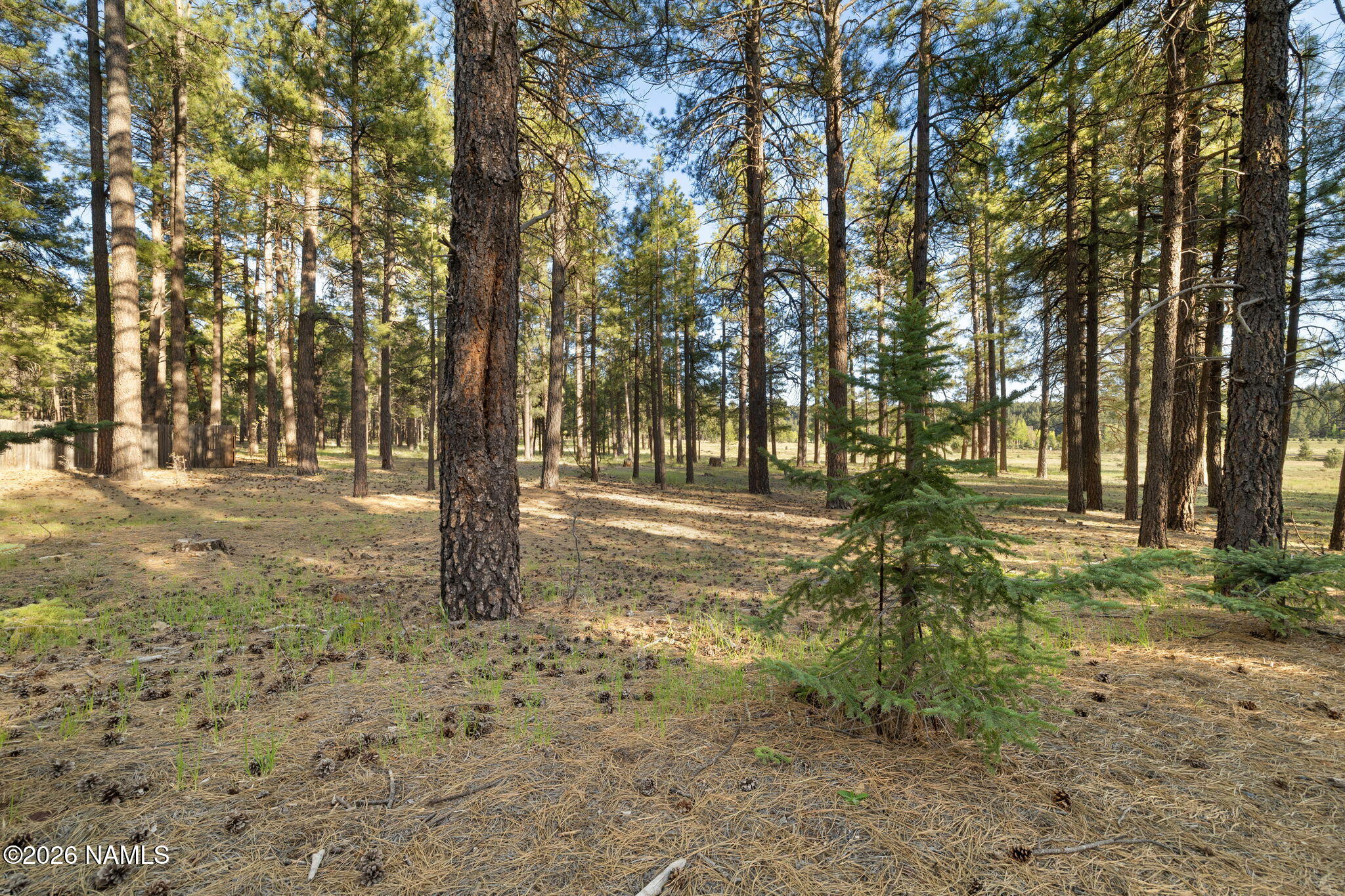 197 East Foxboro Road, Unit 7 Munds Park, AZ 86017 - Photo 39 of 66 Lot 7 Foxboro Ranch Estates