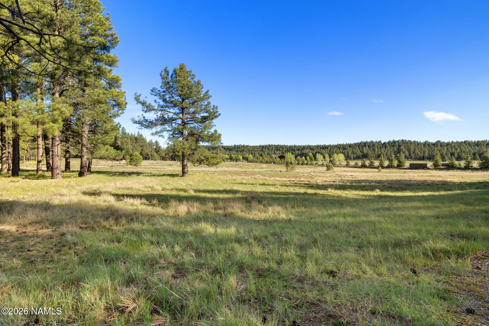 197 East Foxboro Road, Unit 7 Munds Park, AZ 86017 - Photo 41 of 66 Lot 7 Foxboro Ranch Estates