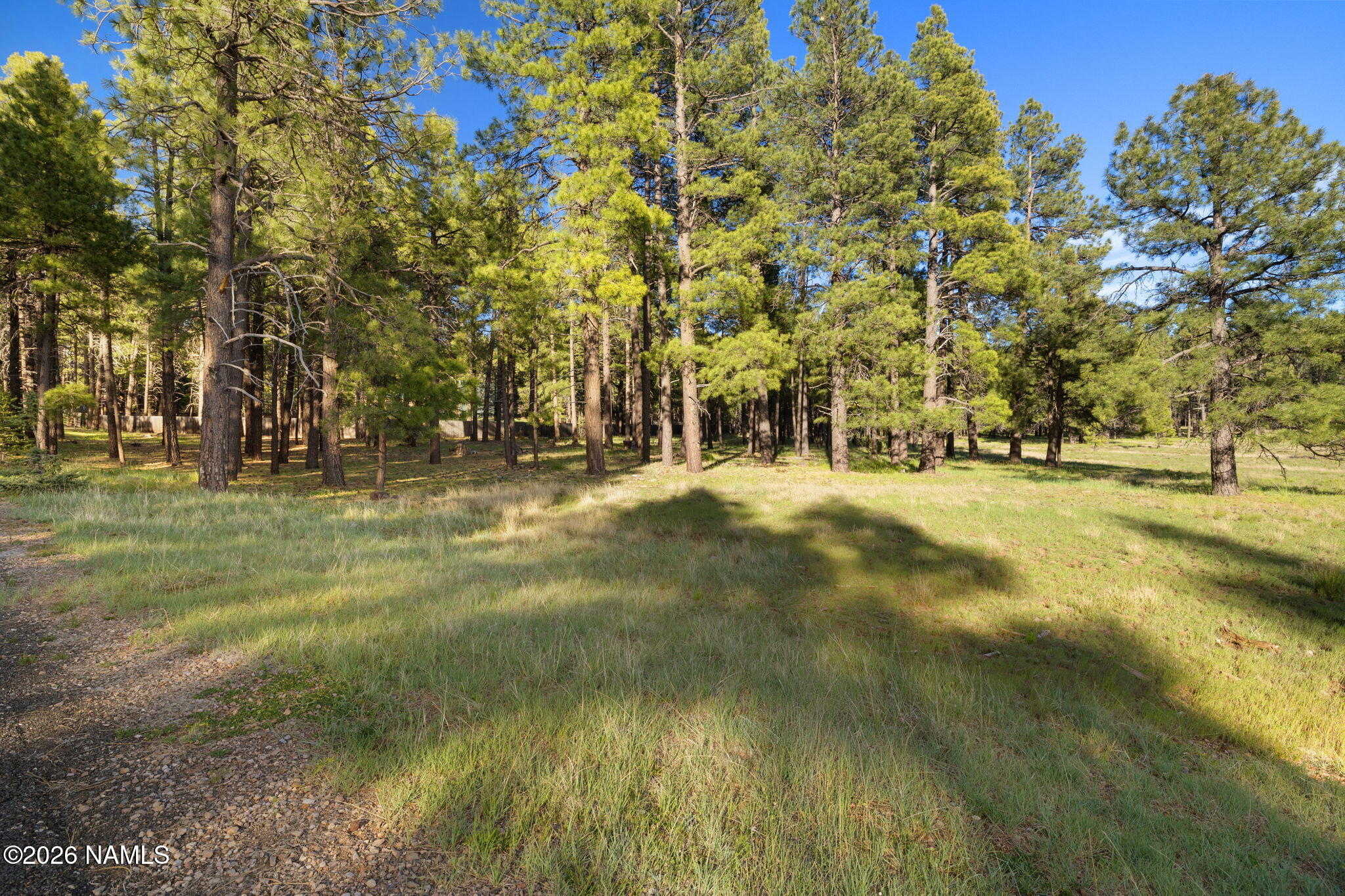 197 East Foxboro Road, Unit 7 Munds Park, AZ 86017 - Photo 42 of 66 Lot 7 Foxboro Ranch Estates