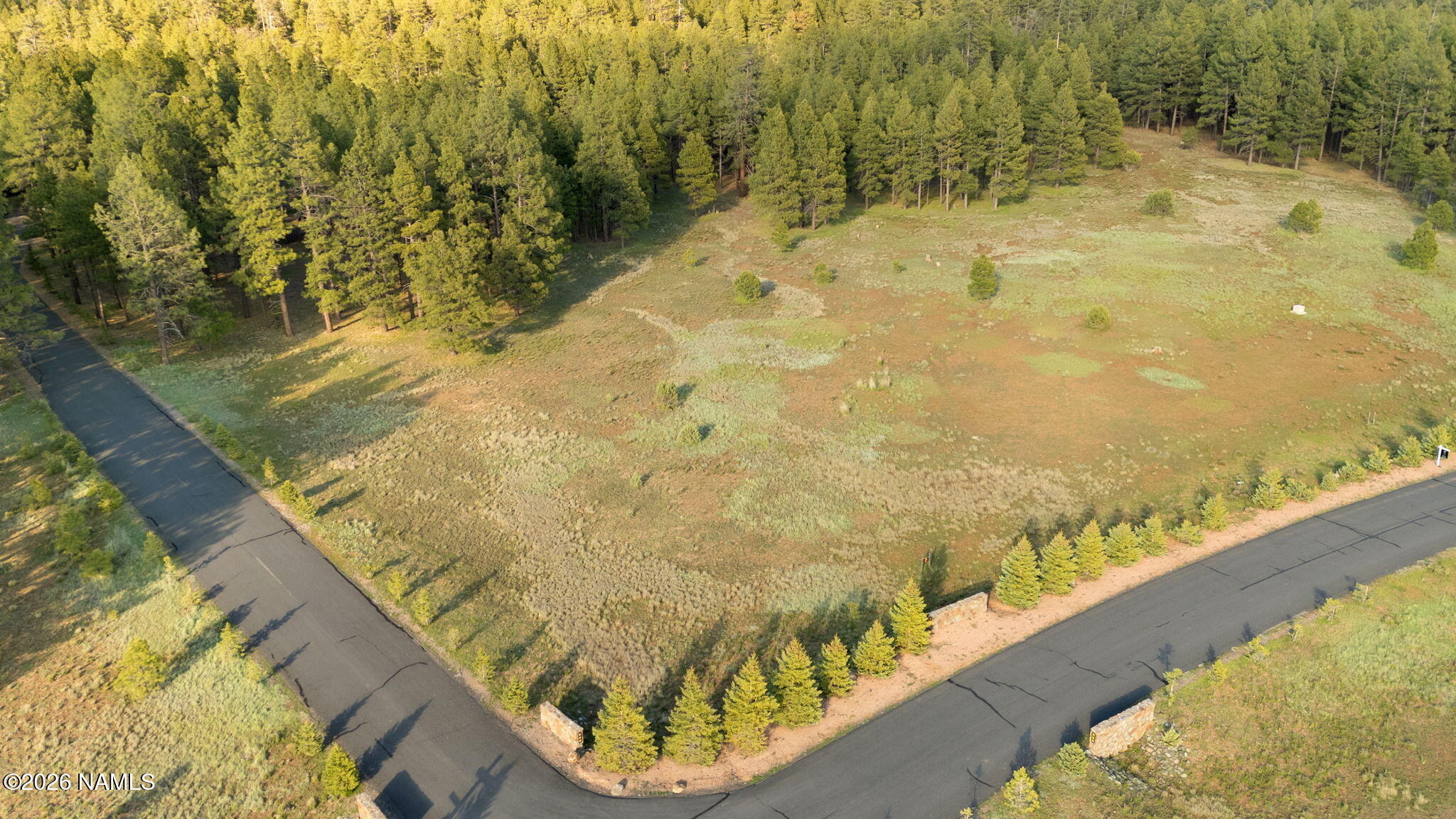 197 East Foxboro Road, Unit 7 Munds Park, AZ 86017 - Photo 44 of 66 Lot 7 Foxboro Ranch Estates