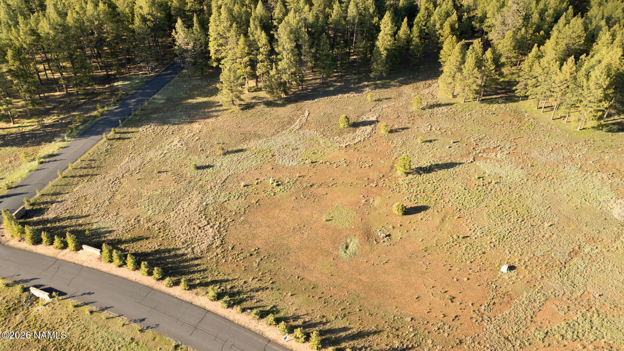 197 East Foxboro Road, Unit 7 Munds Park, AZ 86017 - Photo 54 of 66 Lot 7 Foxboro Ranch Estates