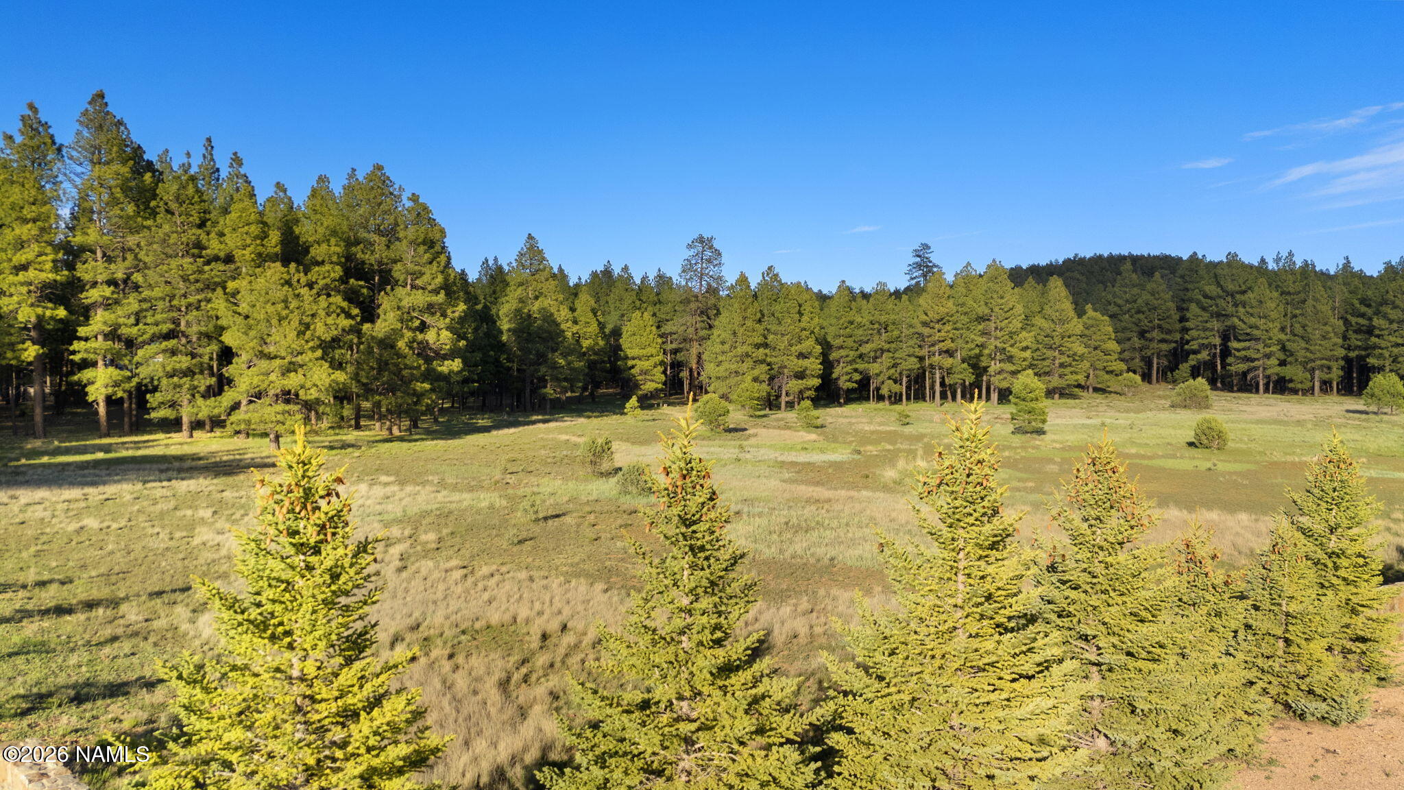 197 East Foxboro Road, Unit 7 Munds Park, AZ 86017 - Photo 56 of 66 Lot 7 Foxboro Ranch Estates
