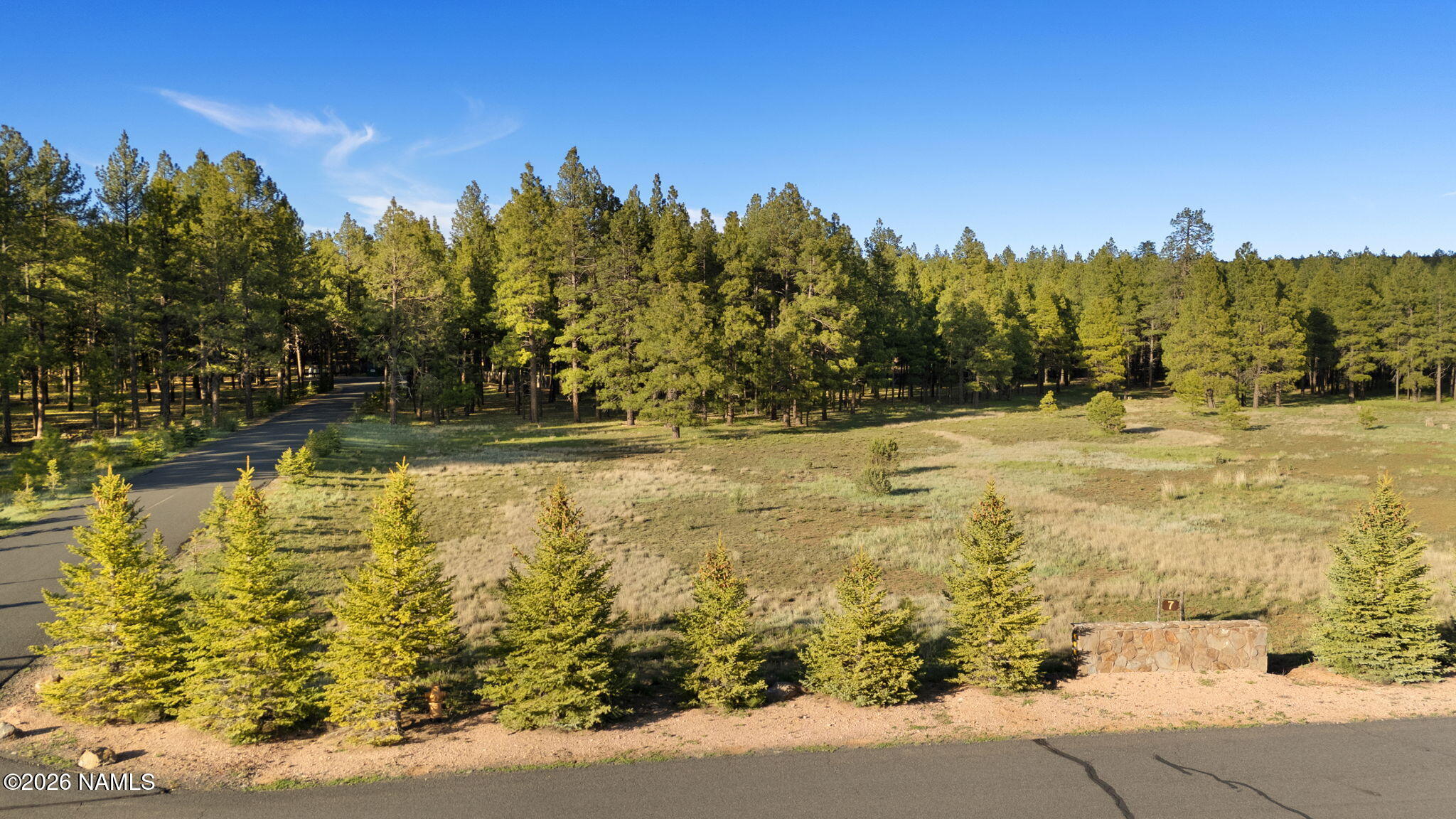 197 East Foxboro Road, Unit 7 Munds Park, AZ 86017 - Photo 57 of 66 Lot 7 Foxboro Ranch Estates