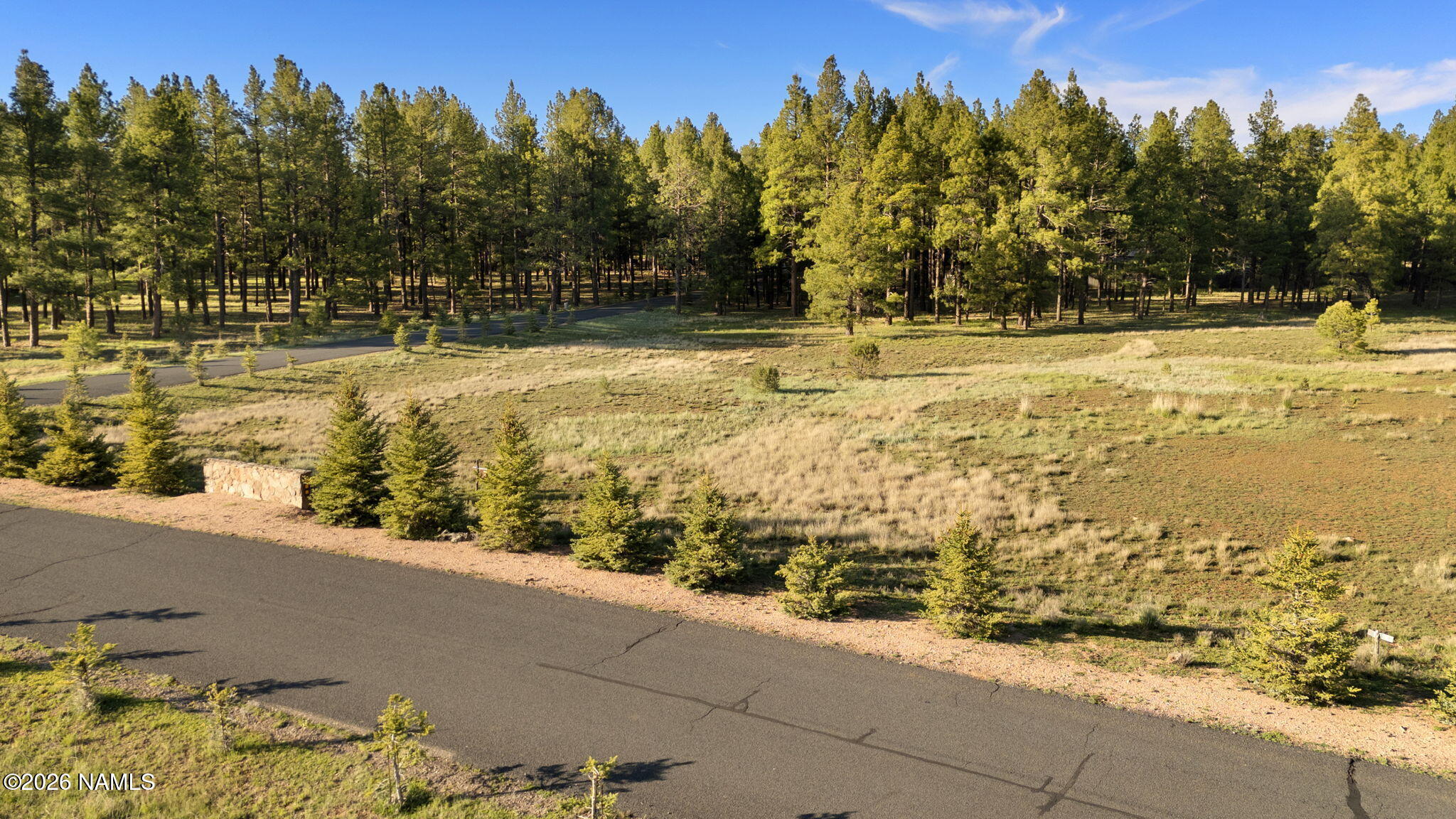 197 East Foxboro Road, Unit 7 Munds Park, AZ 86017 - Photo 58 of 66 Lot 7 Foxboro Ranch Estates