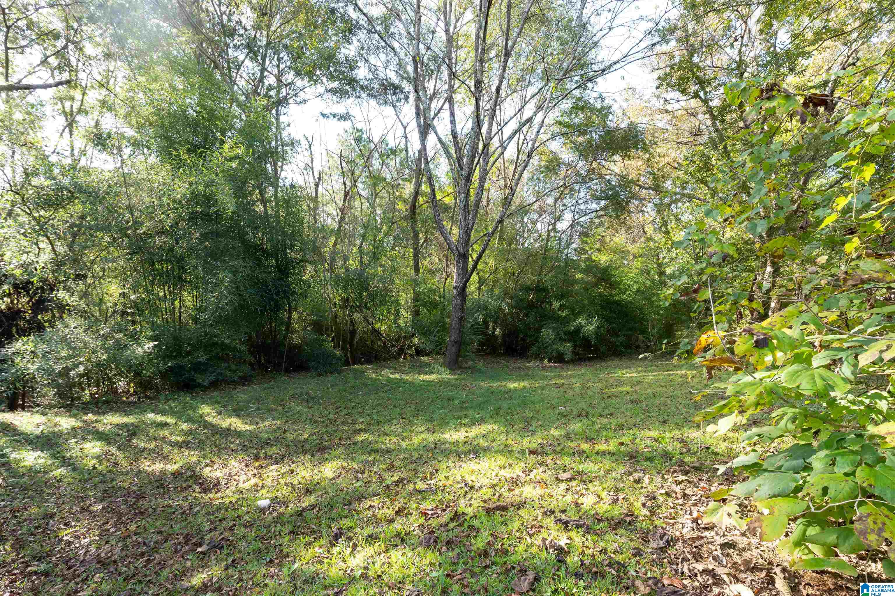 2209 Old Alton Road Birmingham, AL 35210 - Photo 9 of 27