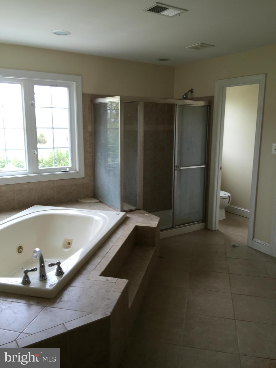 18212 Manor Church Road Boonsboro, MD 21713 - Photo 28 of 30 Bath (Master)