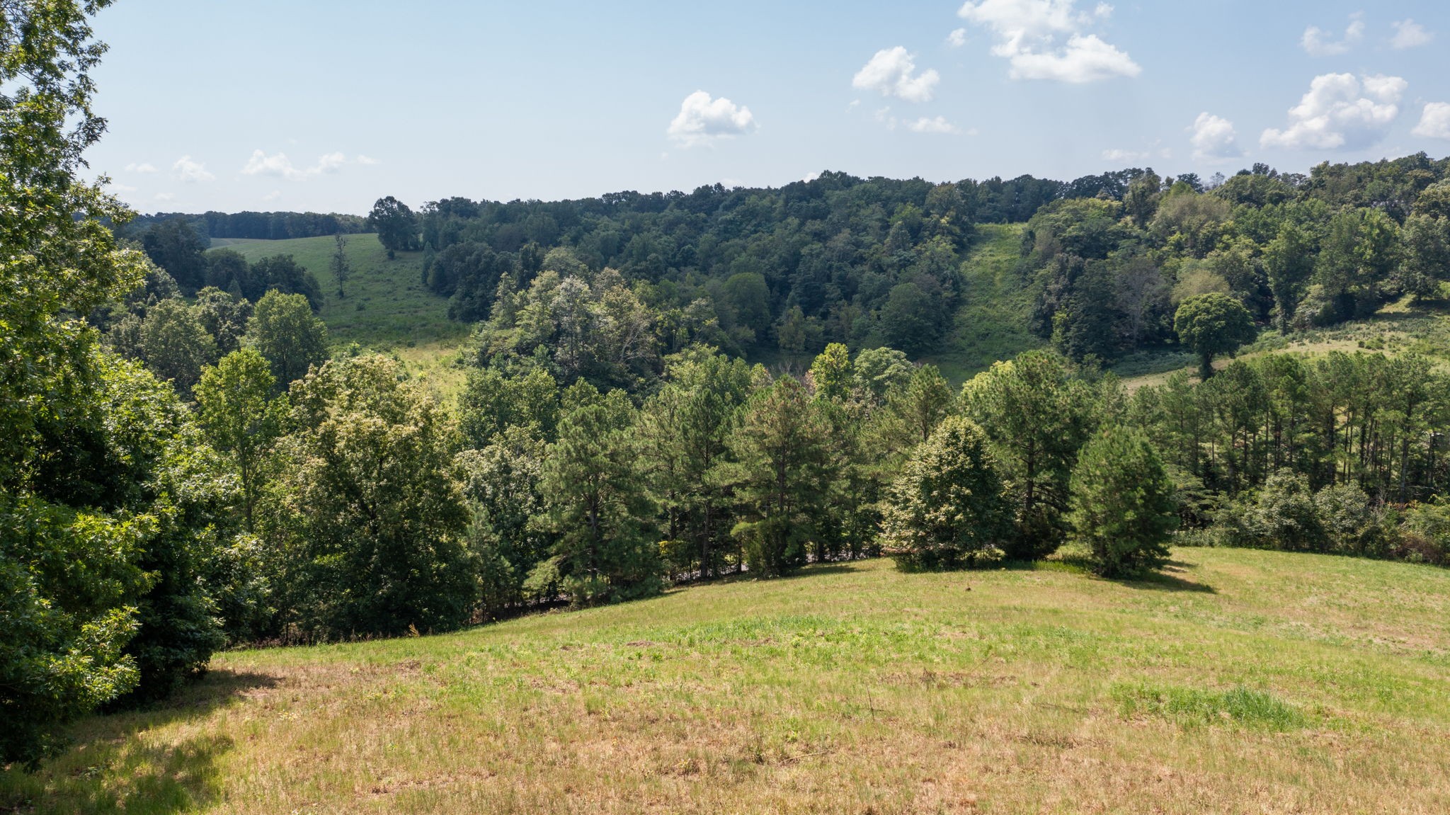5430 Wiley Hollow Road Culleoka, TN 38451 - Photo 35 of 54 a view of a yard