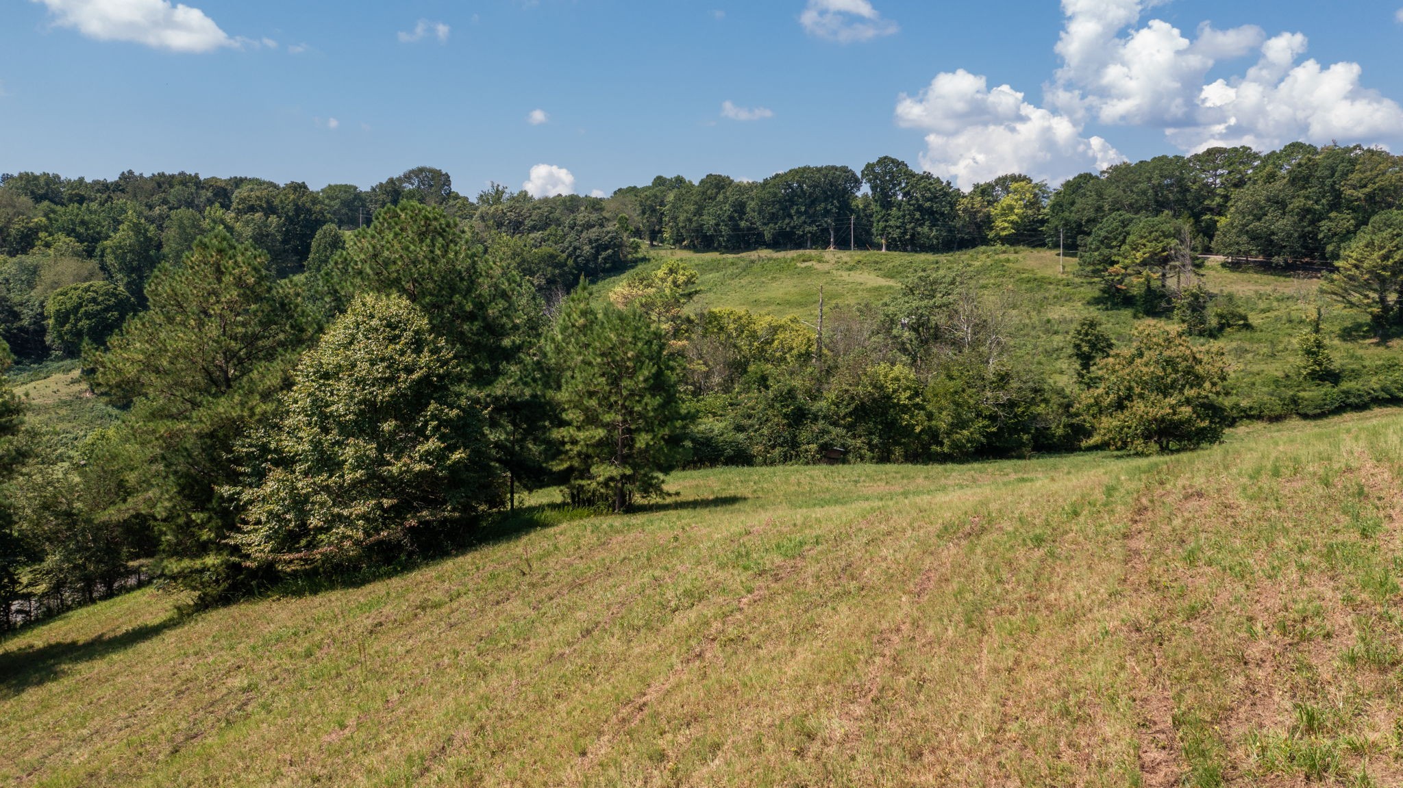 5430 Wiley Hollow Road Culleoka, TN 38451 - Photo 37 of 54