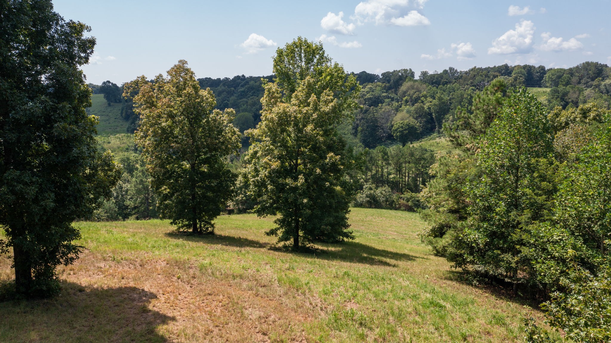 5430 Wiley Hollow Road Culleoka, TN 38451 - Photo 39 of 54 a view of outdoor space and yard