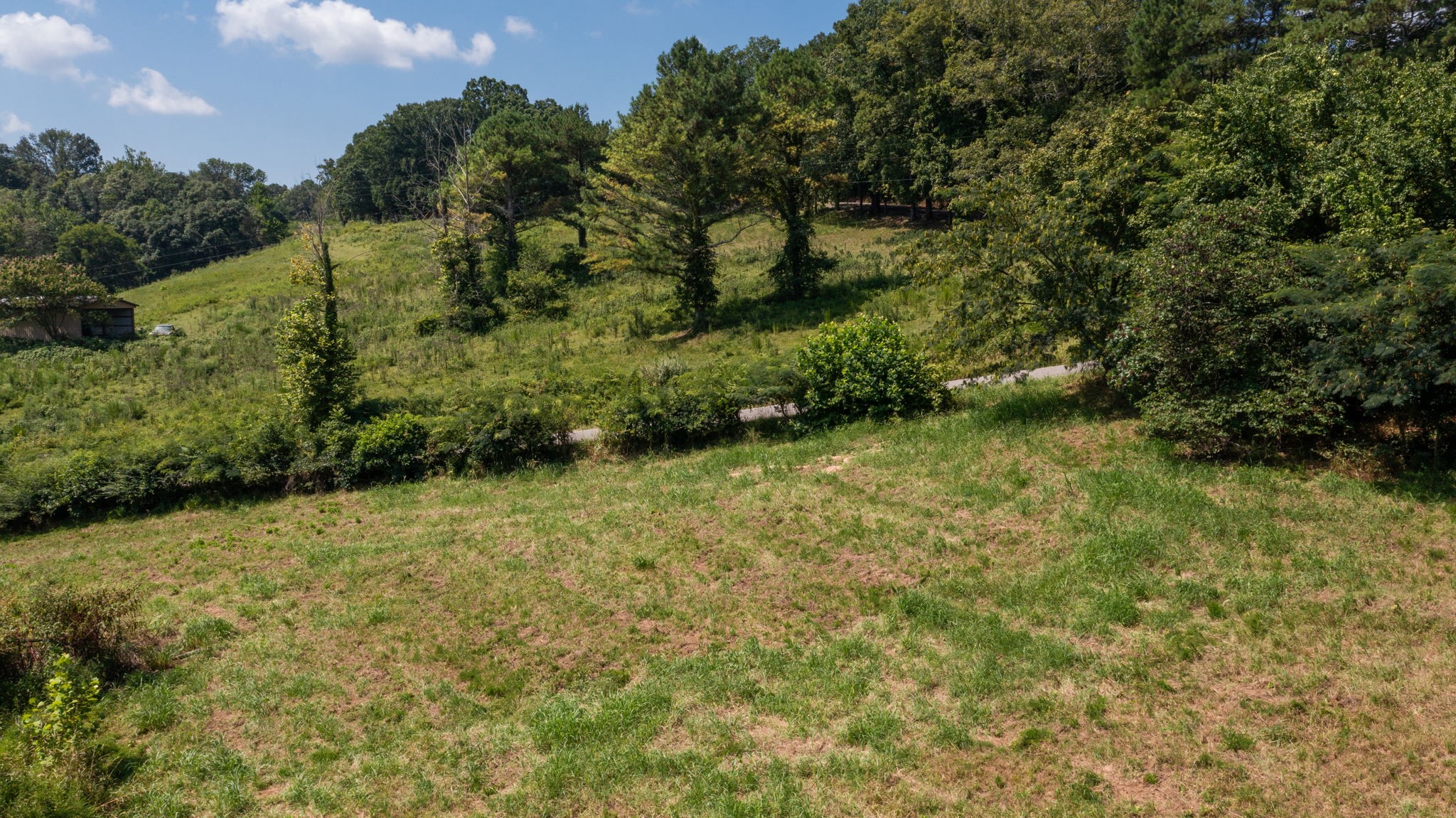 5430 Wiley Hollow Road Culleoka, TN 38451 - Photo 40 of 54 a view of a yard with a tree