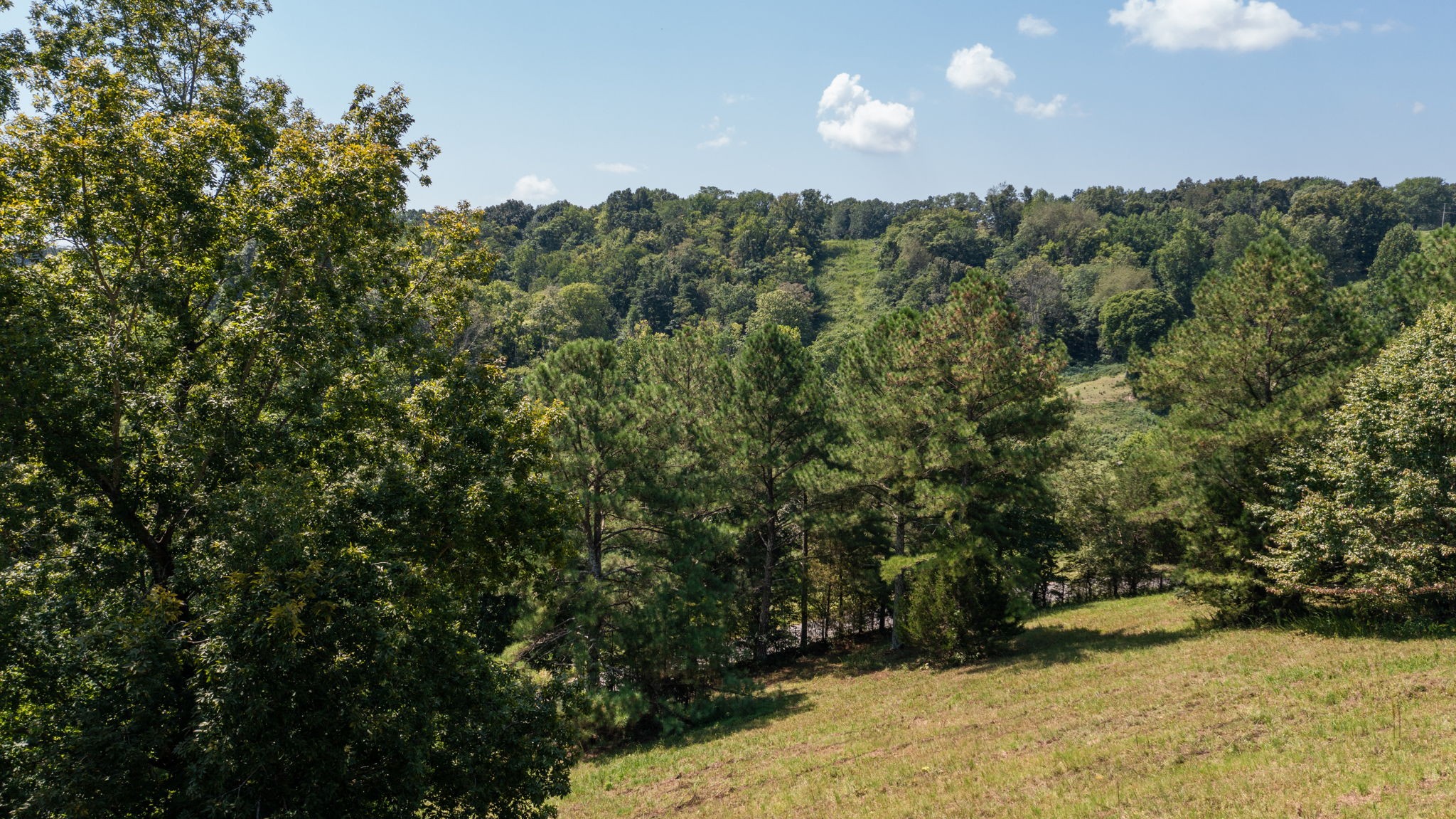 5430 Wiley Hollow Road Culleoka, TN 38451 - Photo 41 of 54 a view of a large yard with lots of bushes