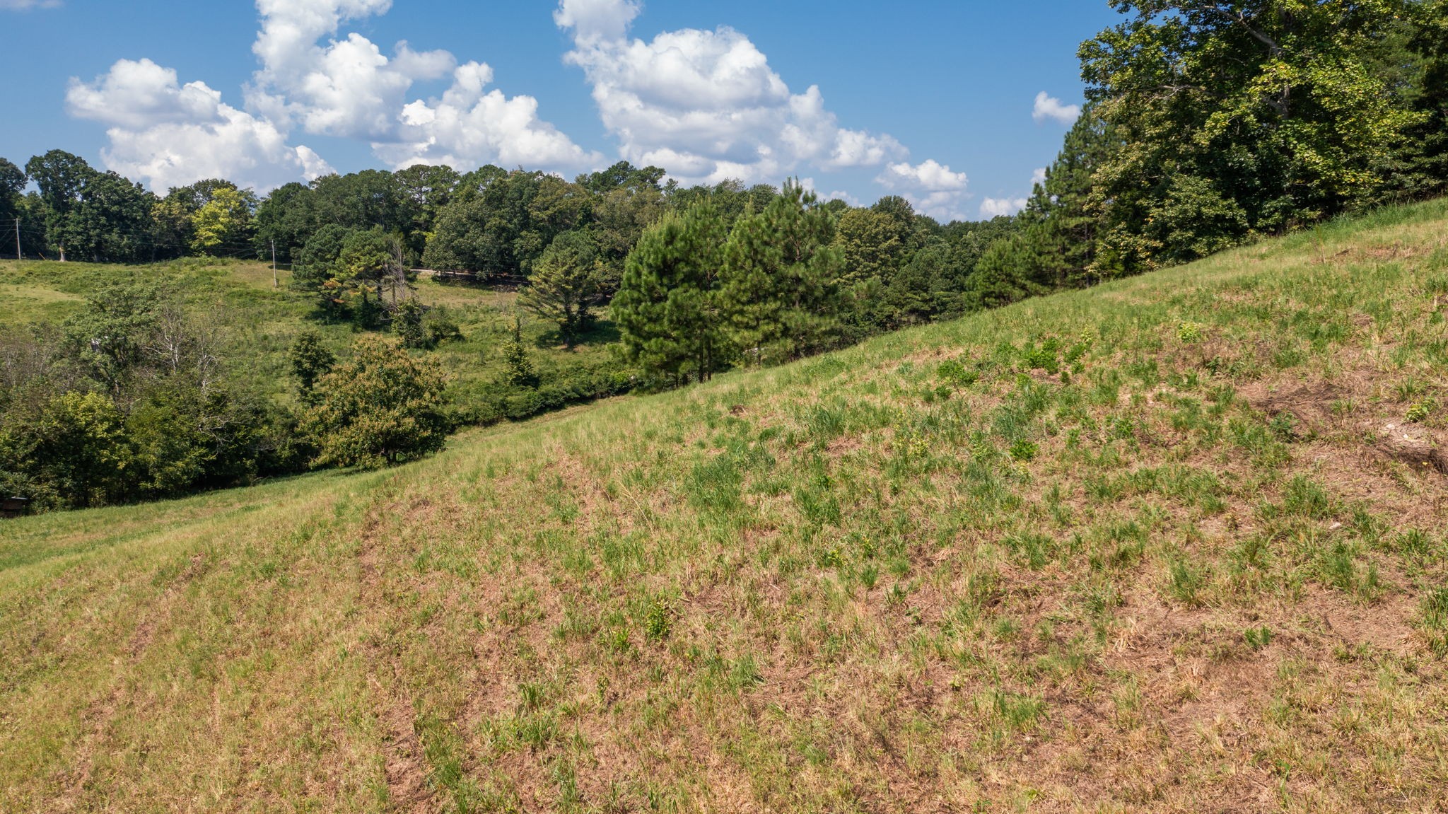 5430 Wiley Hollow Road Culleoka, TN 38451 - Photo 42 of 54