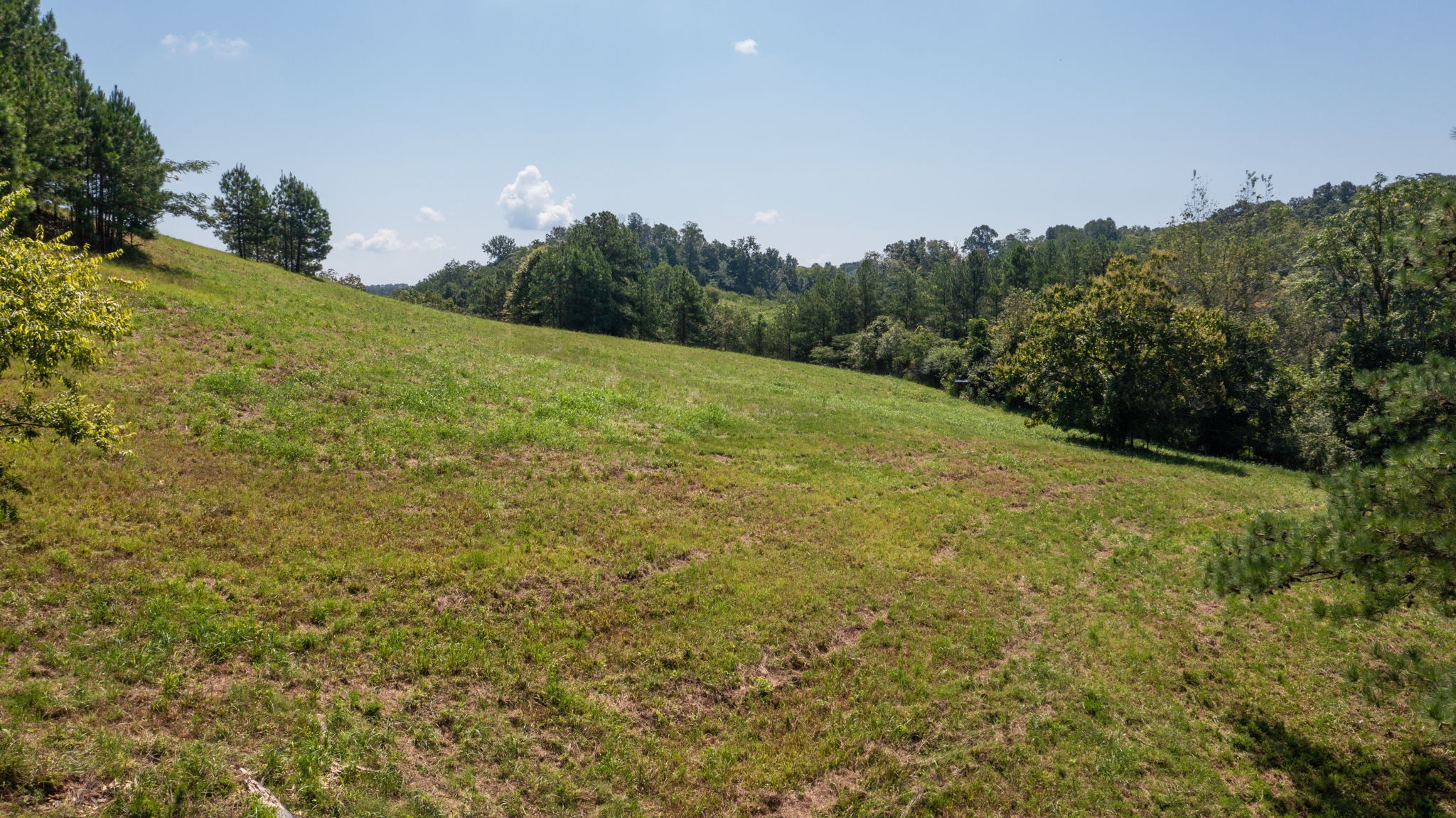 5430 Wiley Hollow Road Culleoka, TN 38451 - Photo 43 of 54