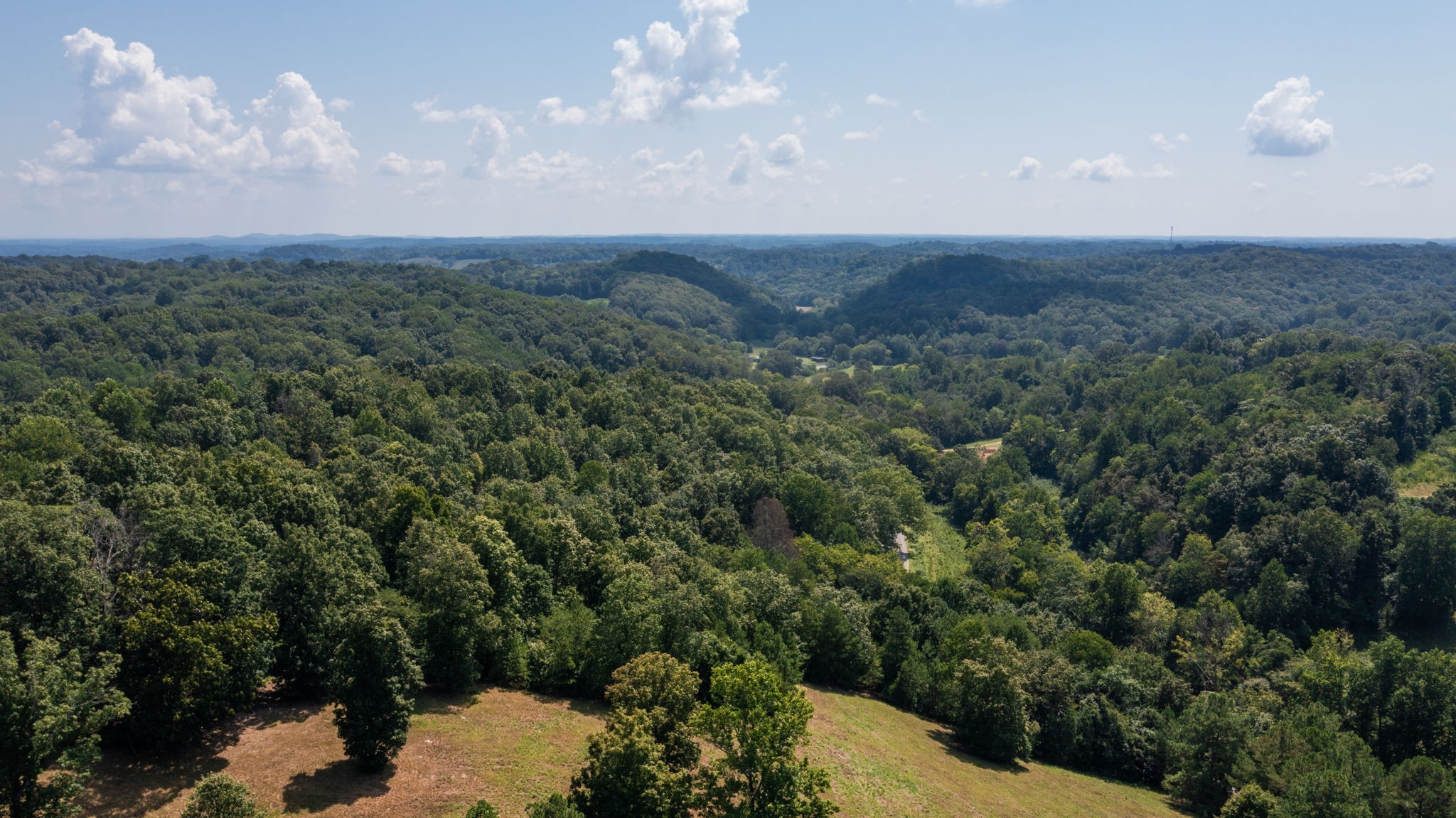 5430 Wiley Hollow Road Culleoka, TN 38451 - Photo 44 of 54