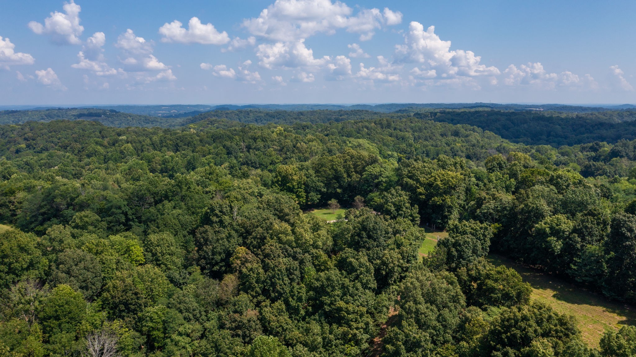 5430 Wiley Hollow Road Culleoka, TN 38451 - Photo 45 of 54