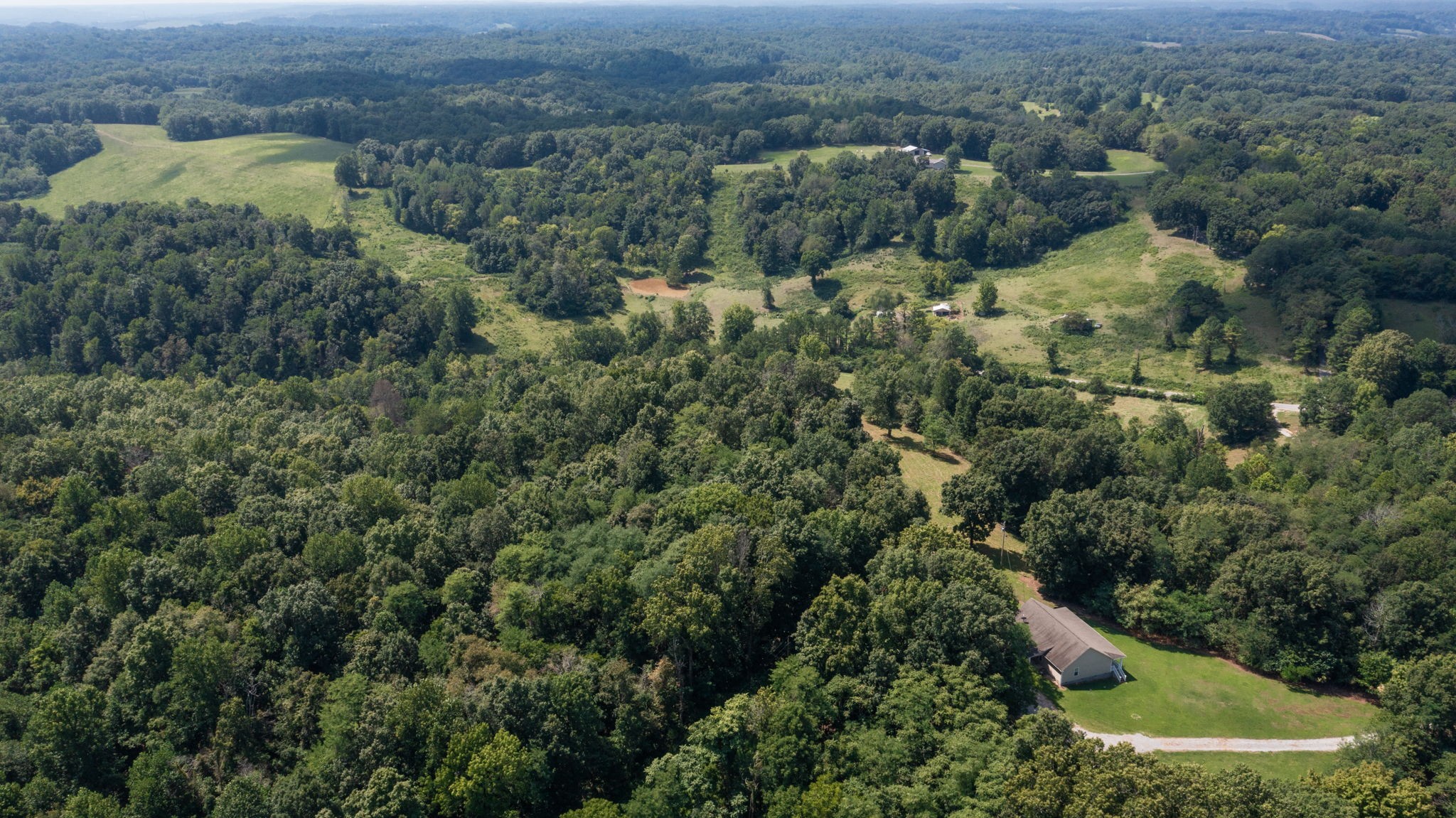 5430 Wiley Hollow Road Culleoka, TN 38451 - Photo 46 of 54 an aerial view of residential houses with outdoor space and trees