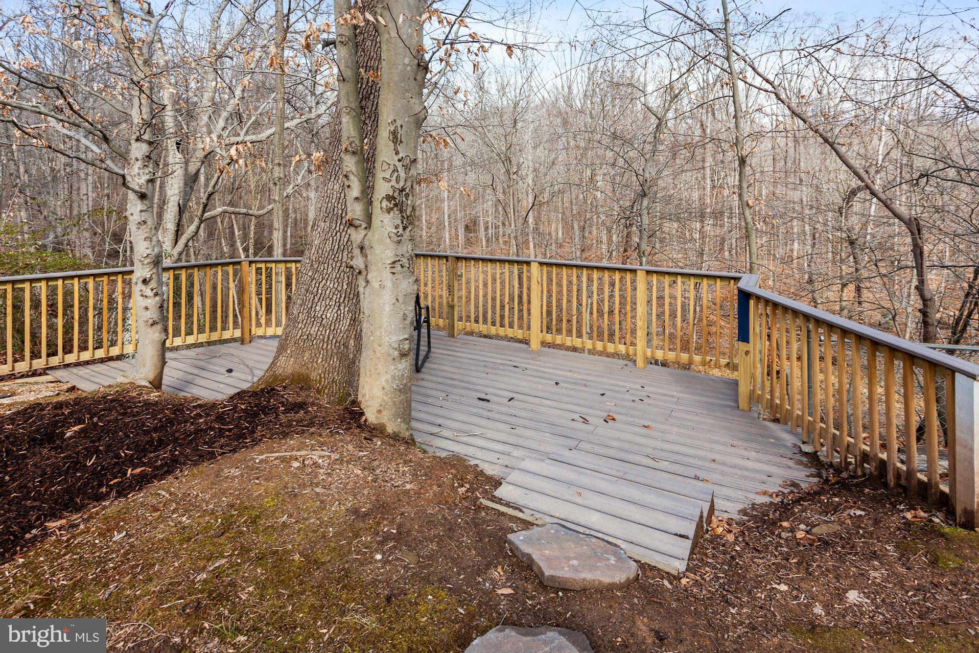 6815 Gillings Road Springfield, VA 22152 - Photo 48 of 57 Gallery Image 48