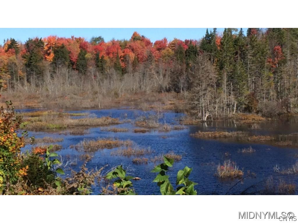 0 Lake View Road Forestport, NY 13338 - Photo 1 of 1 Fall