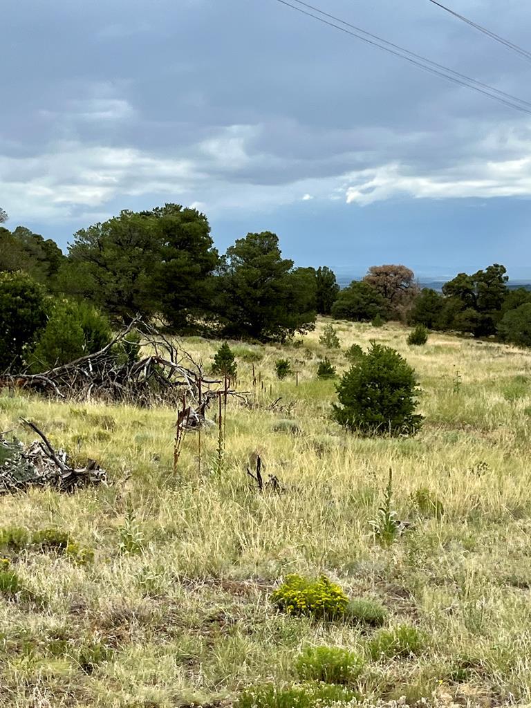 Tbd Ketchum Road Walsenburg, CO 81089 - Photo 8 of 22
