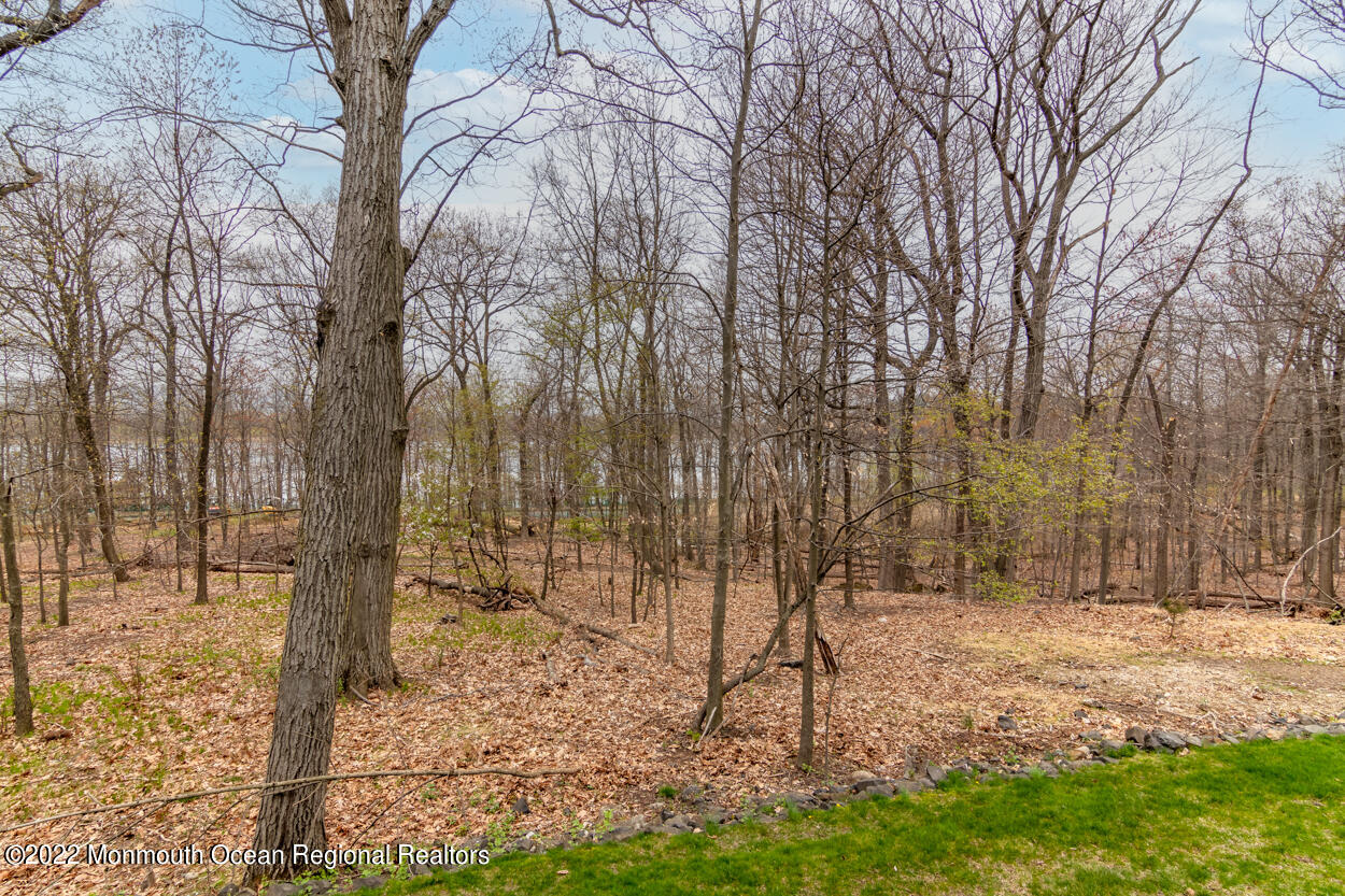 46 Glen Rock Road Cedar Grove, NJ 07009 - Photo 34 of 36 a view of a yard with trees